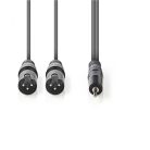 jack 3,5mm - XLR kábel | 3,5mm jack - 2x XLR Dugó | 3 m