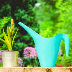 Öntözőkanna - 1,6 L