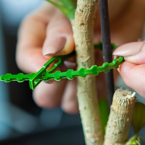 Oldható kötöző - 165 mm - 40 db