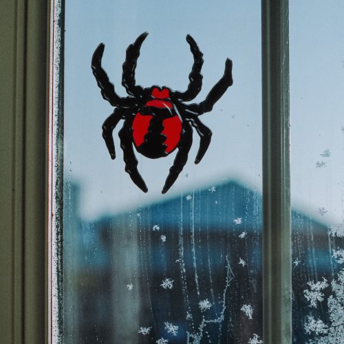 Halloween ablakdekor - pók