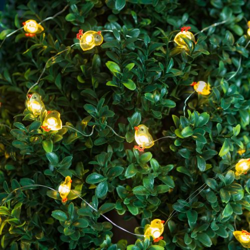 LED fényfüzér - csibe - 2 m - 20 LED - 2 x AA elem