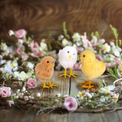 Húsvéti dekoráció - csibe - 11 x 7 x 6 cm